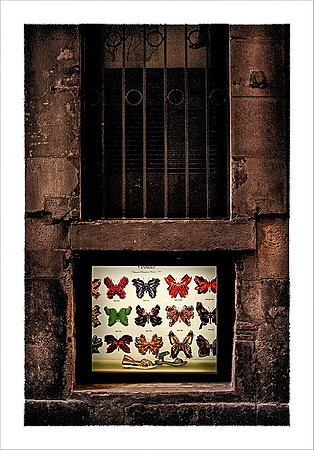BUTTERFLY SHOES, BARCELONA