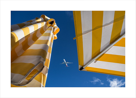 IN PLANE VIEW