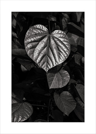 SUNSHINE LEAF SCULPTURE
