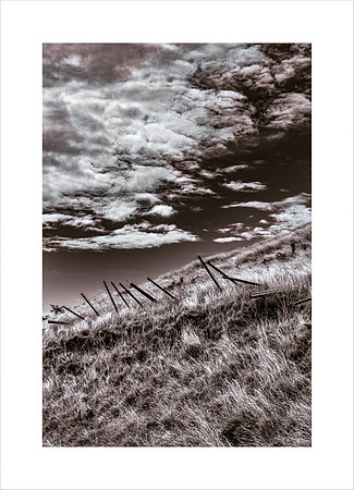 WINDSWEPT FENCELINE