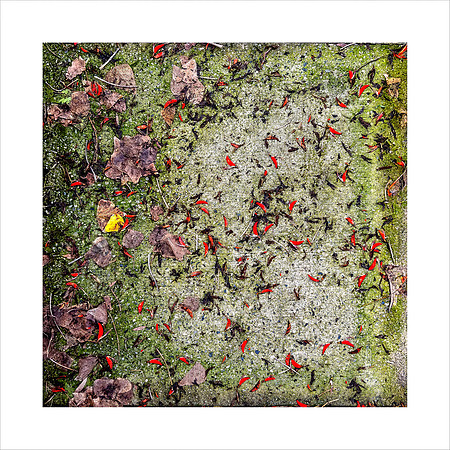 WINTER PAVEMENT