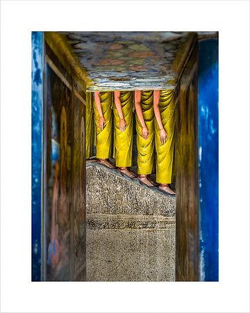 ENTOMBED MONKS, SRI LANKA