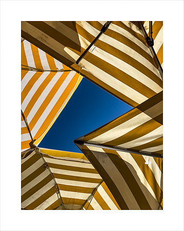 ONE NEW UMBRELLA