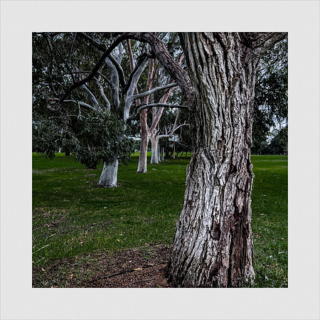 ON THE GREEN, CLAREMONT LAKE
